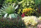Indented Headplanting-garden-and-landscape-design-24.jpg; ?>